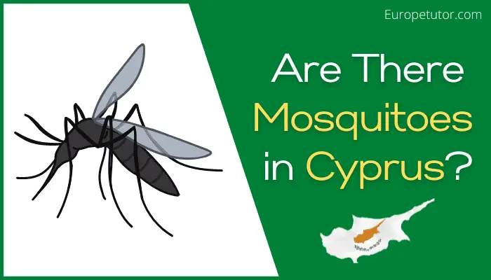 Are There Mosquitoes in Cyprus